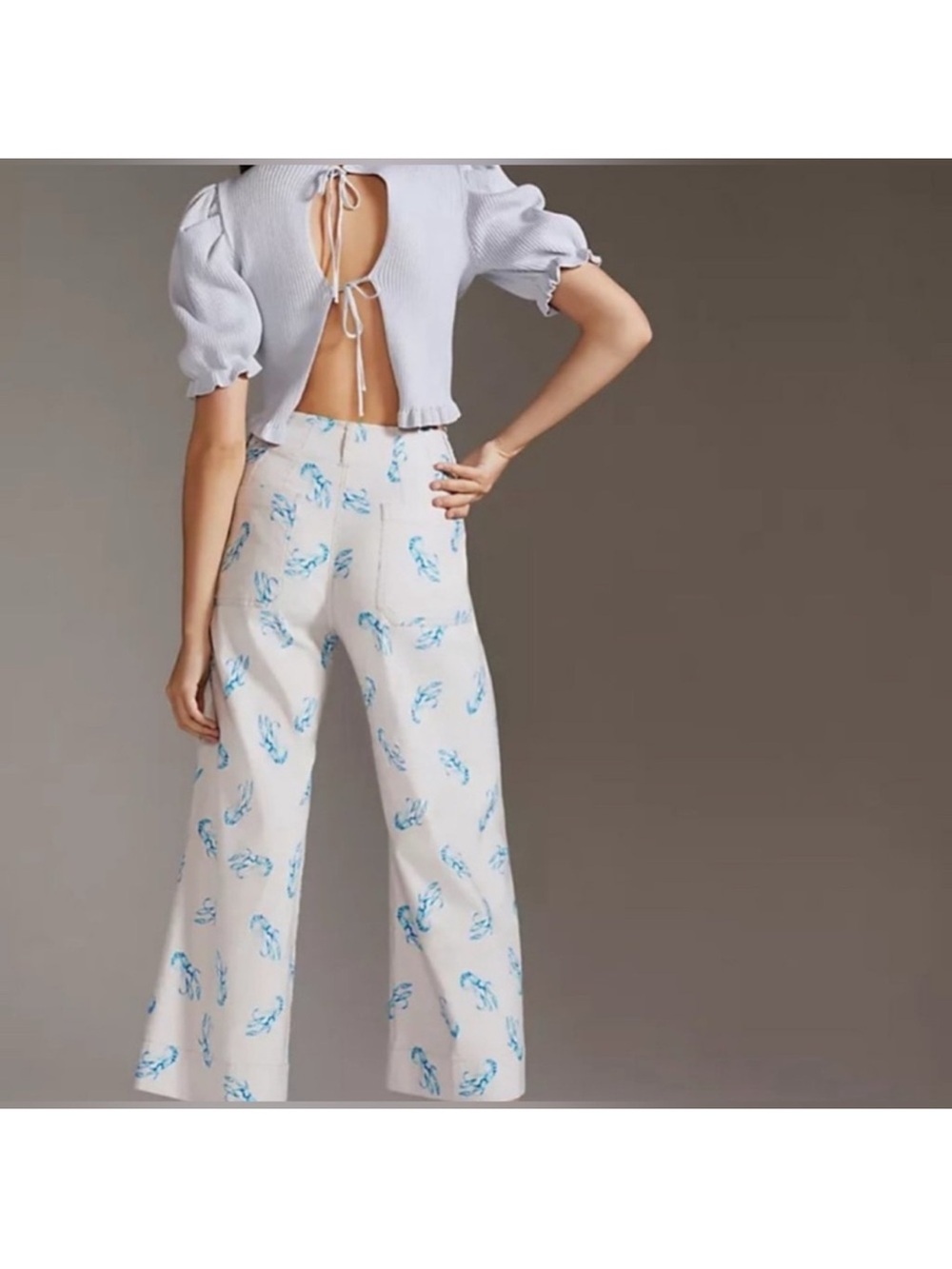 Anthropologie Maeve Colette Lobster Pants Size 26 Excellent condition! - Picture 2 of 4